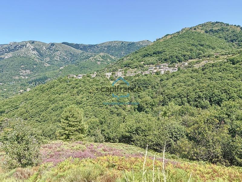 Maison - 330 m² - 10 pièces