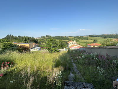 Terrain - 559 m²