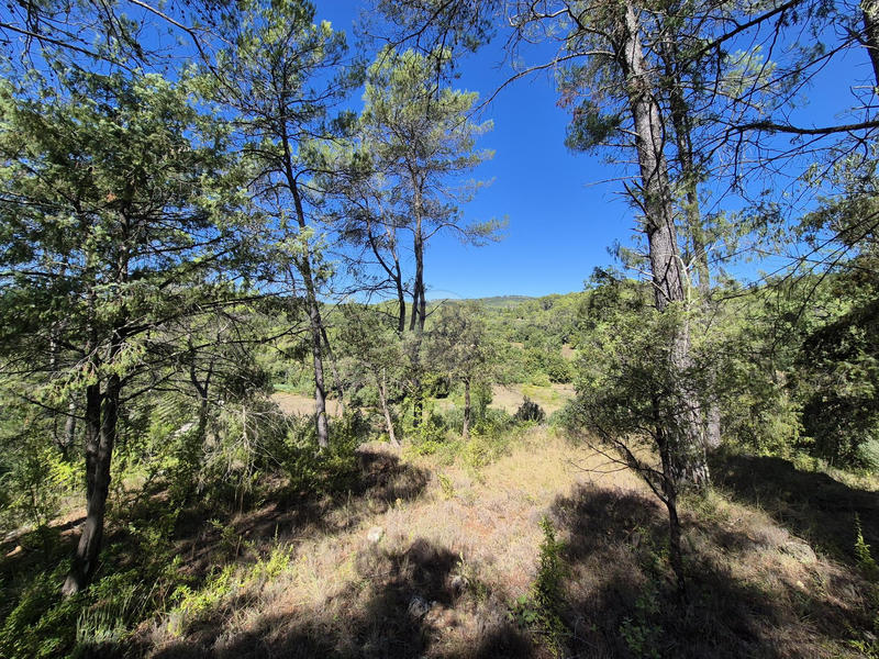 Villa - 175 m² - 6 pièces