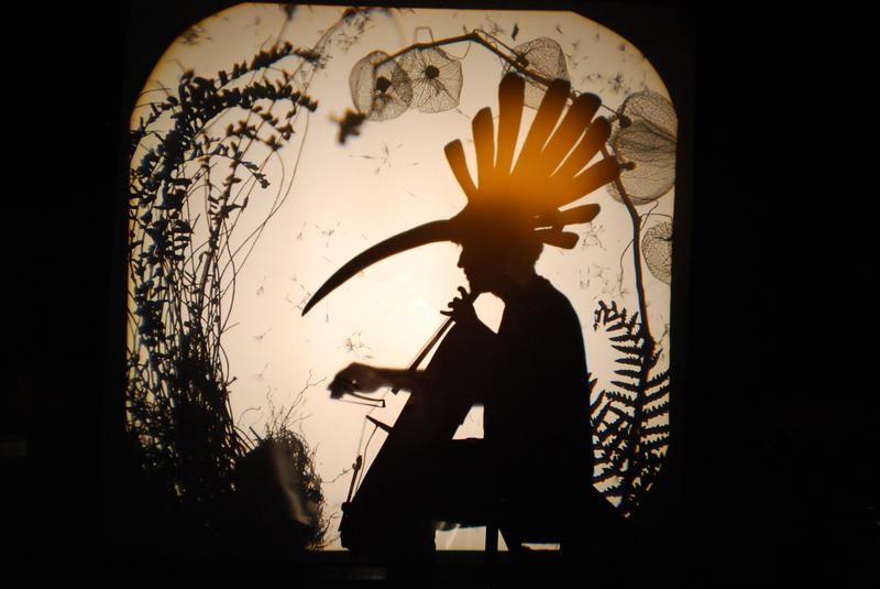 Théâtre de l'Usine - Volatile ombré