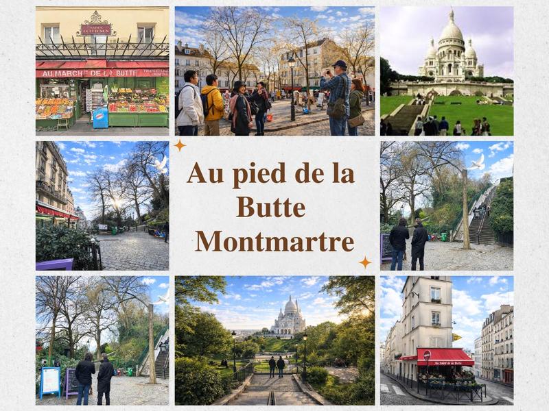 Appartement - 16 m² - 1 pièce