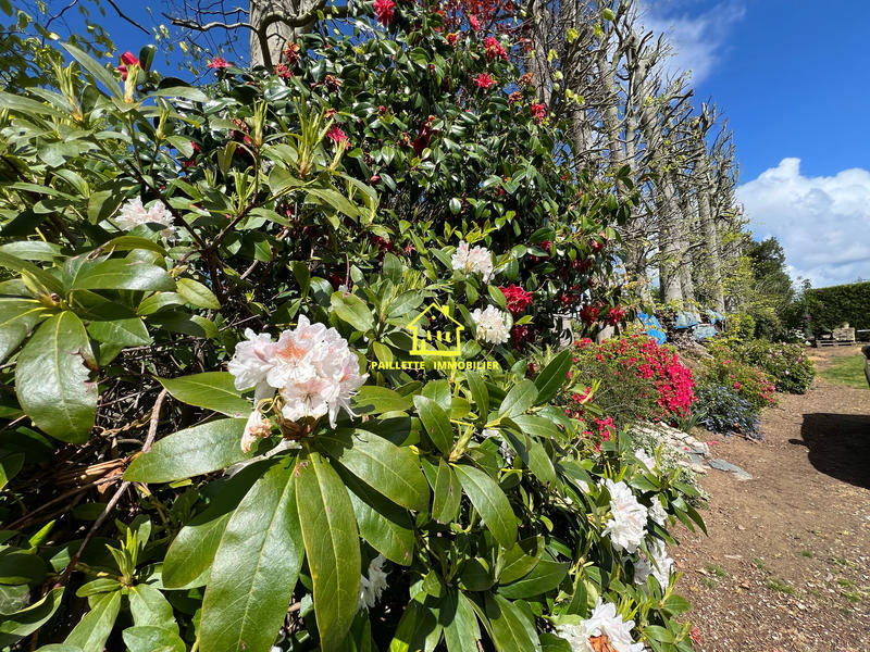 Maison - 127 m² - 5 pièces