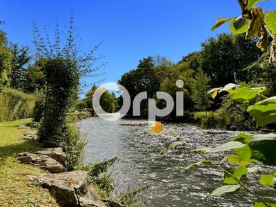 Château - 500 m² - 9 pièces