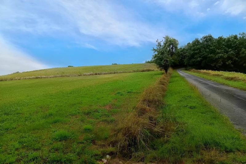 Terrain constructible - 2 000 m²