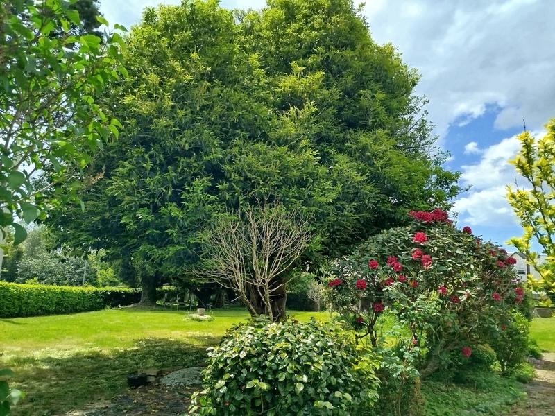 Maison - 133 m² - 7 pièces