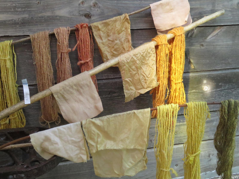 Stage de teintures végétales solaires