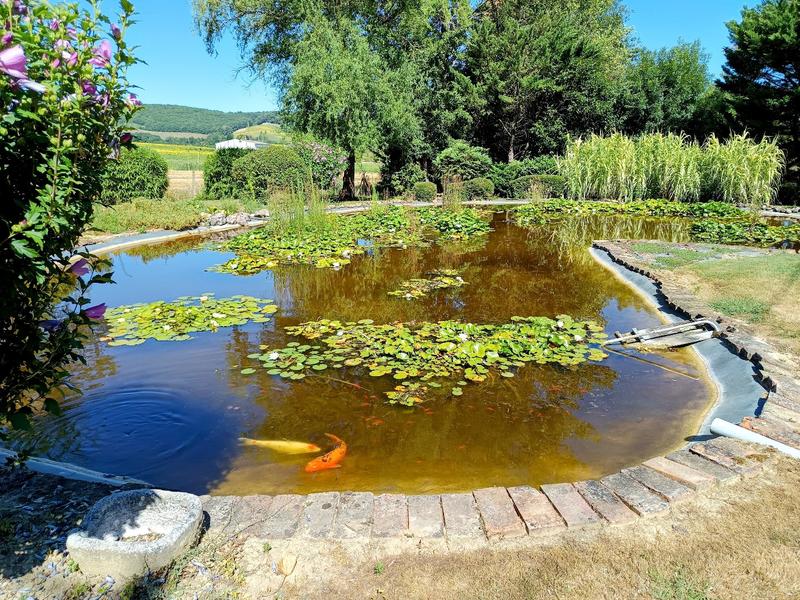 Viager - Maison - 217 m² - 8 pièces