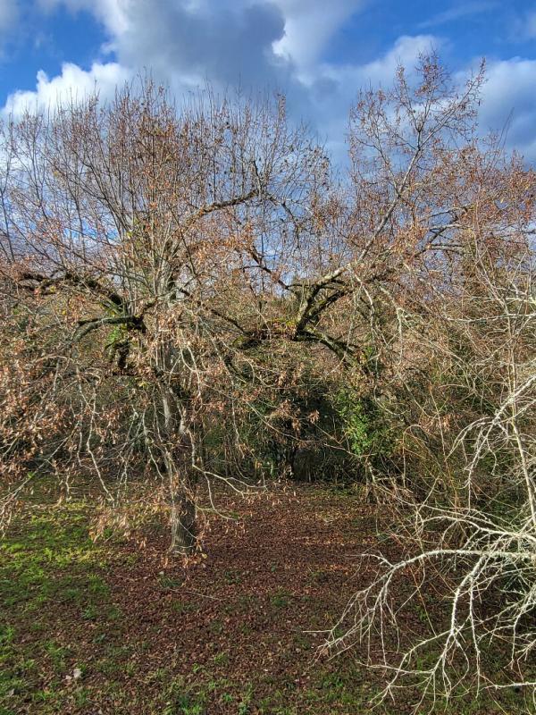 Maison - 70 m² - 4 pièces