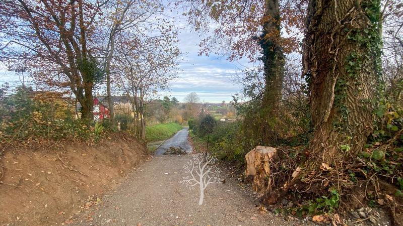 Terrain constructible - 3 923 m²