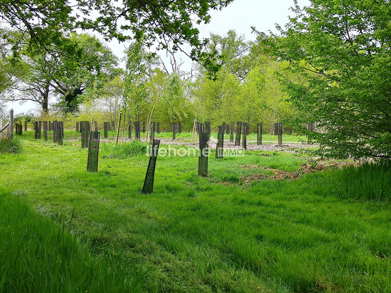 Maison ancienne - 240 m² - 7 pièces
