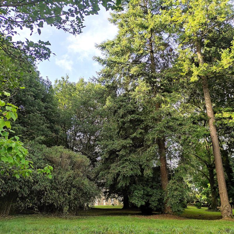 Demeure - 300 m² - 9 pièces