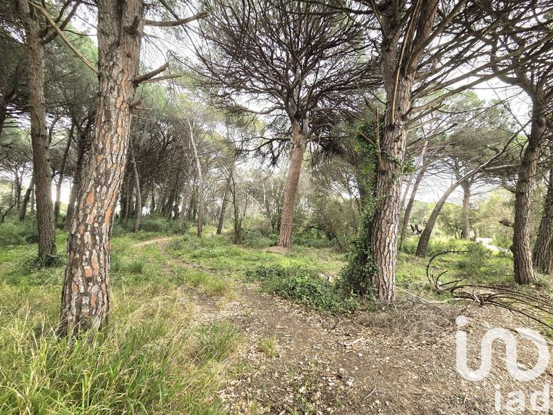 Terrain agricole - 20 000 m²