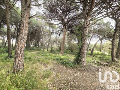 Terrain agricole - 20 000 m²