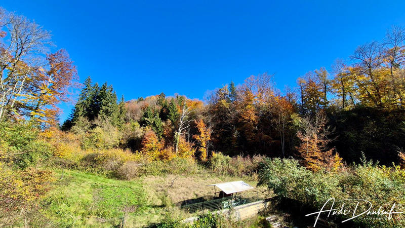 Appartement - 105 m² - 4 pièces