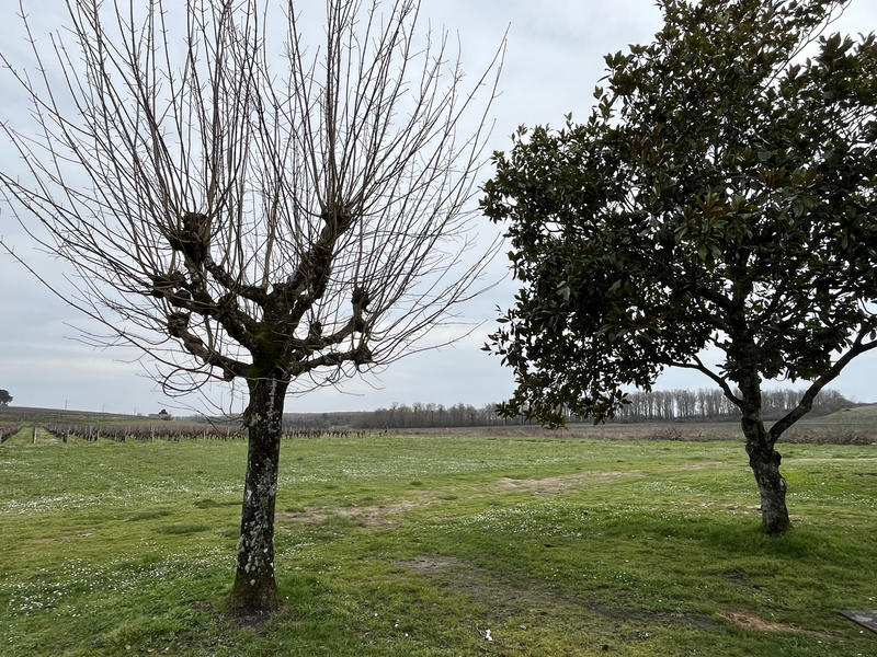 Maison - 548 m² - 12 pièces