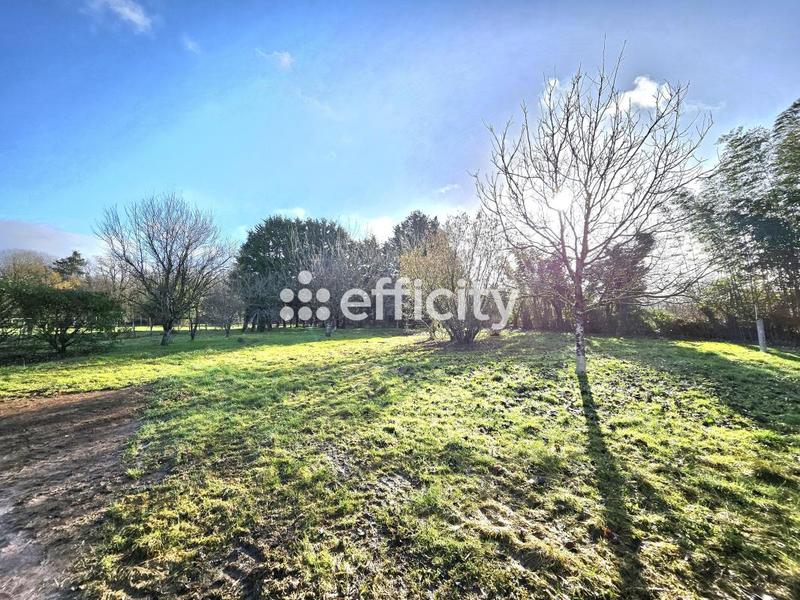 Longère - 153 m² - 5 pièces