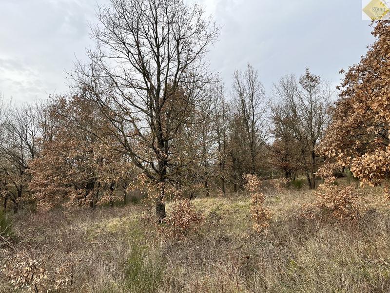 Terrain de loisirs - 4 930 m²