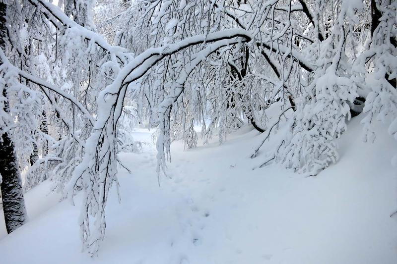 Club Vosgien : Séjour ski ou raquettes à Morzine