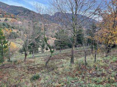 Terrain - 7 661 m²