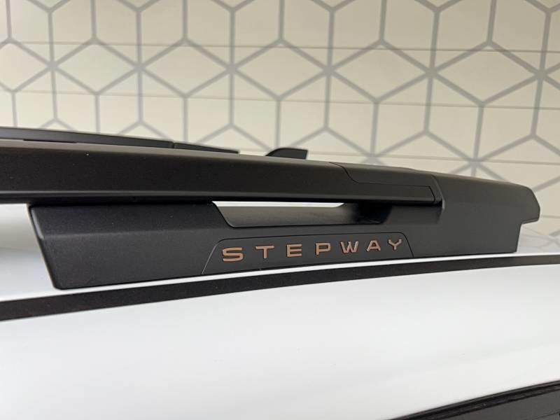 Dacia Sandero Eco-G 100 Gsr2 Stepway Extreme +