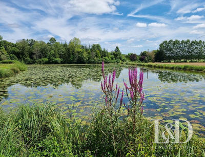 Maison - 265 m² - 7 pièces