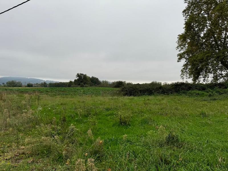 Terrain - 98 000 m²