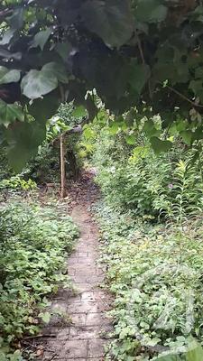 Maison - 50 m² - 3 pièces