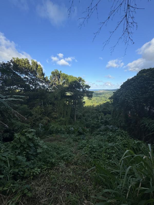 Terrain constructible - 1 523 m²