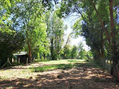 Terrain de loisirs - 717 m²