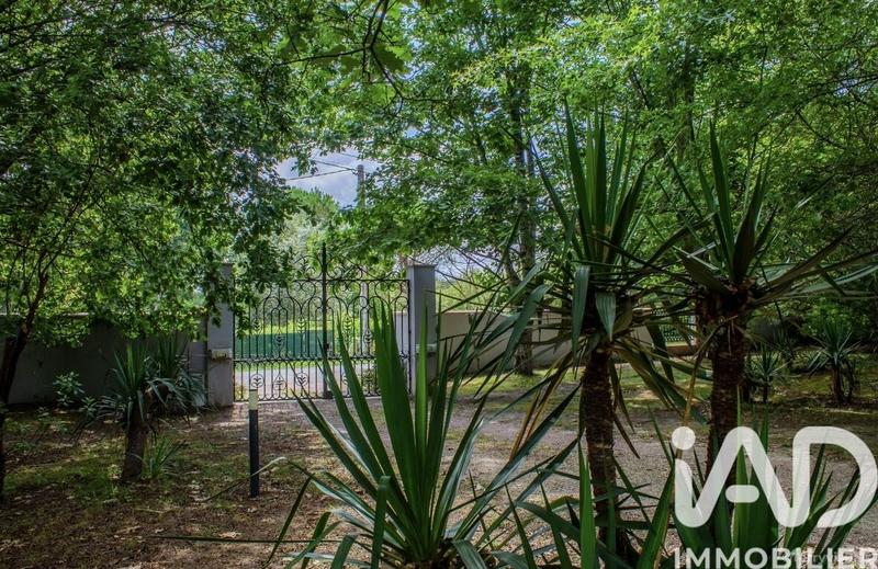 Maison de maîtres - 211 m² - 5 pièces