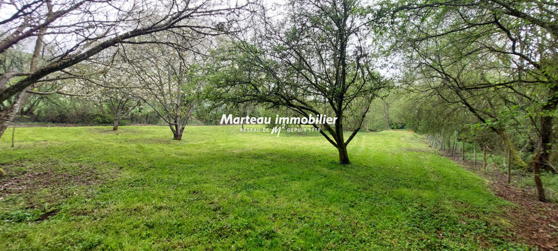 Terrain de loisirs - 5 190 m²