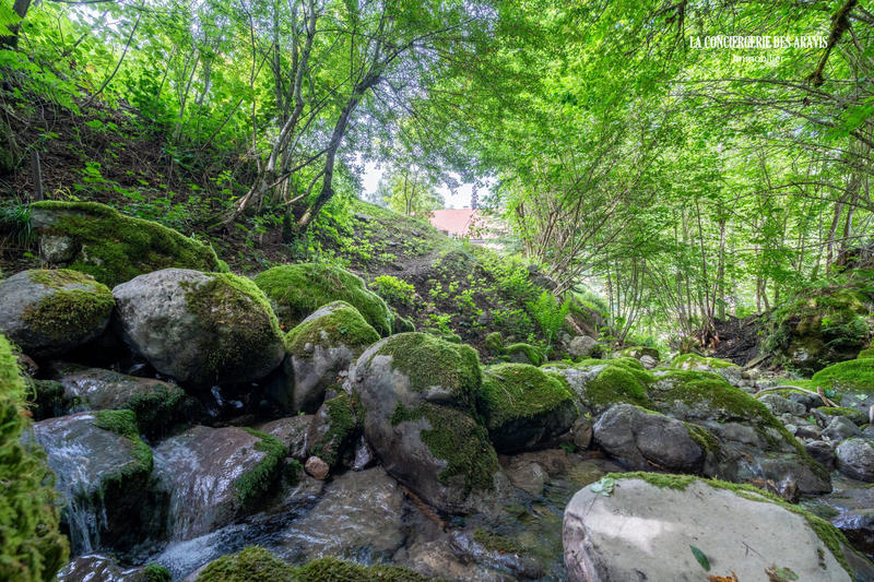 Maison contemporaine - 209 m² - 6 pièces
