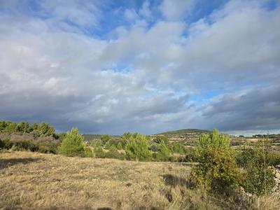 Terrain agricole - 8 540 m²