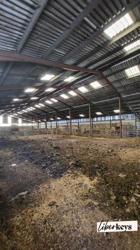 Ferme - 240 m² - 1 pièce