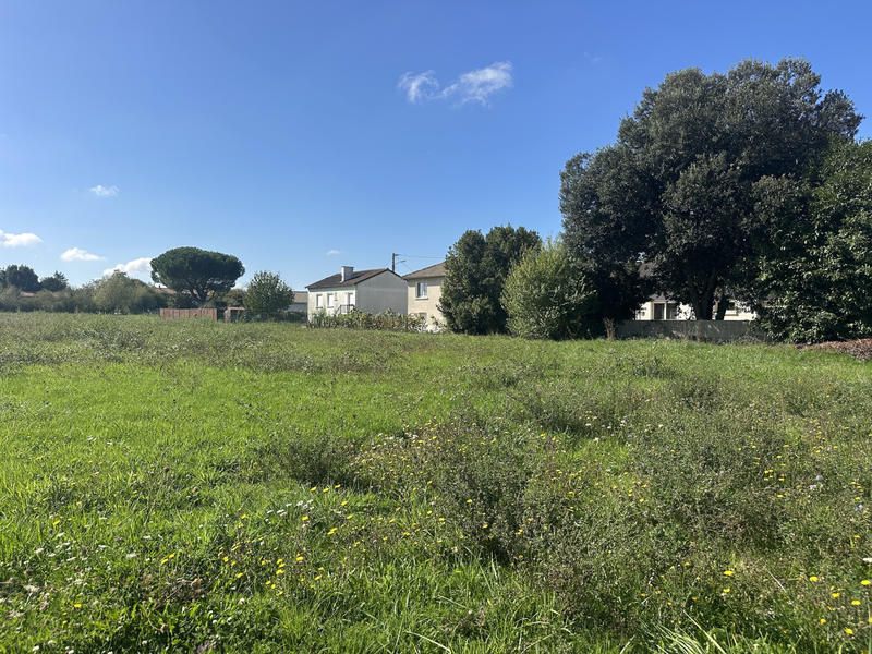 Terrain - 1 467 m²