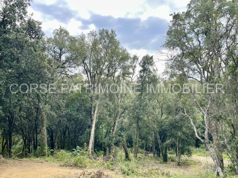 Maison - 145 m² - 7 pièces