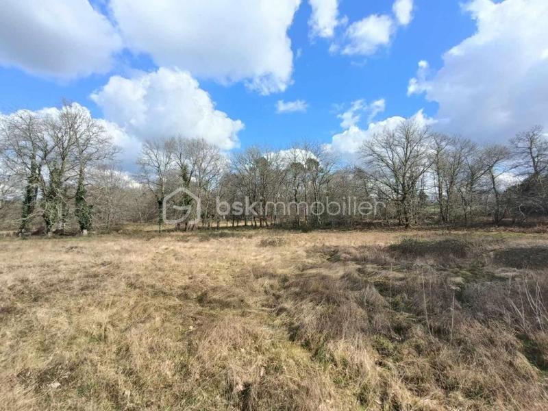 Terrain industriel - 2 301 m²