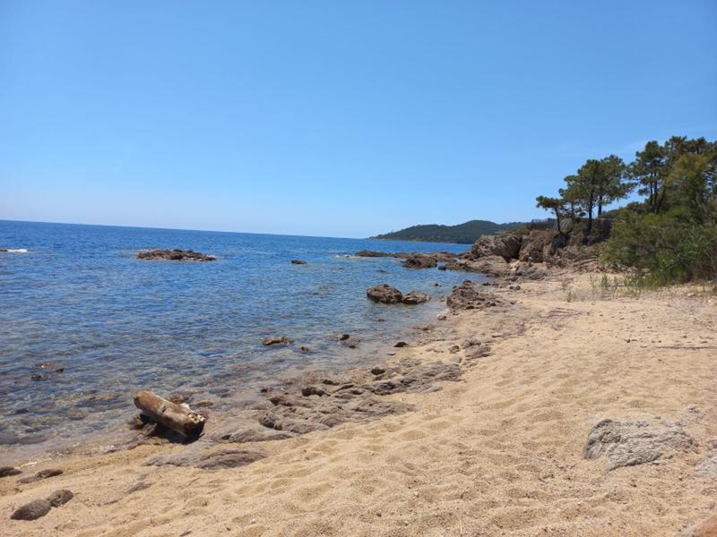 Maison - 260 m² - 7 pièces