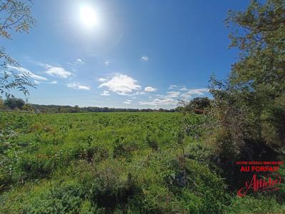 Terrain constructible - 1 143 m²