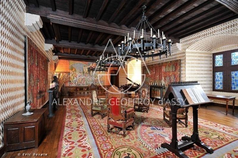 Château - 3 500 m² - 30 pièces