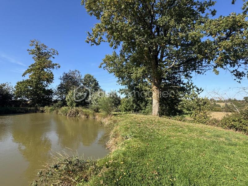 Terrain de loisirs - 7 023 m²