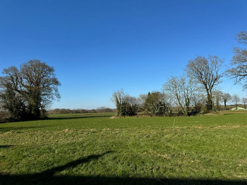 Longère - 500 m² - 3 pièces