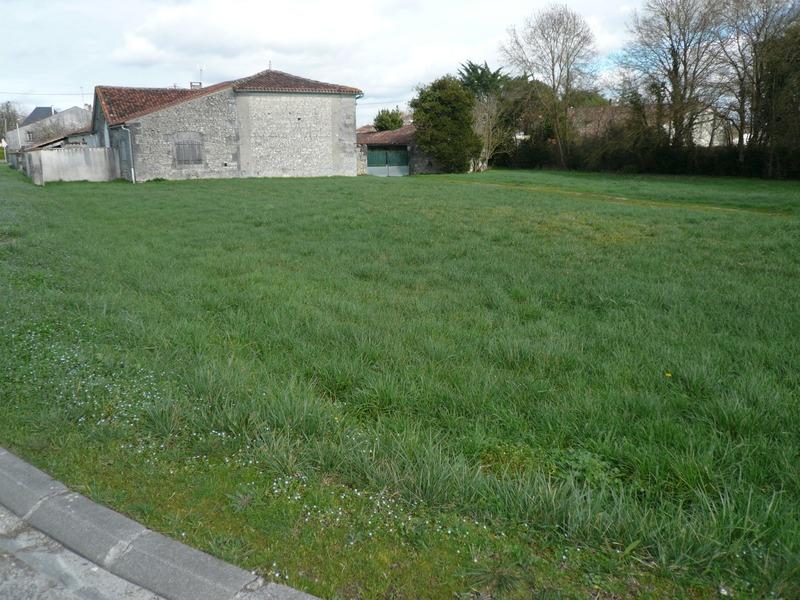 Terrain constructible - 1 508 m²