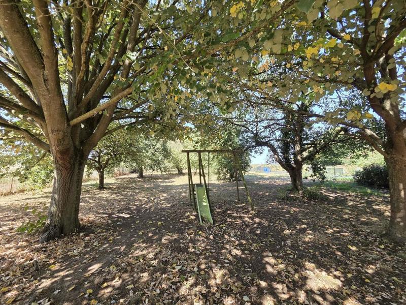 Pavillon - 279 m² - 10 pièces