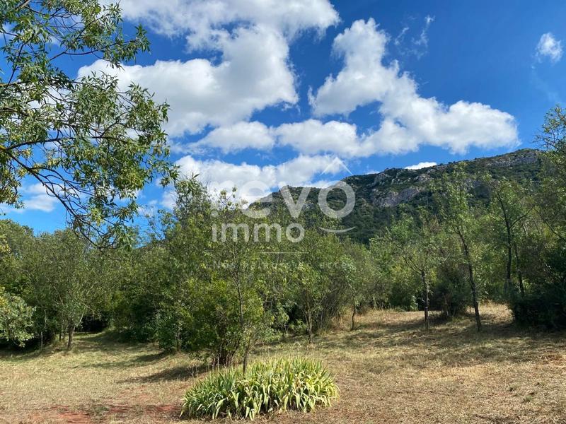 Propriété viticole - 251 m² - 11 pièces