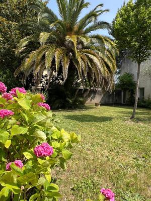 Maison - 280 m² - 8 pièces