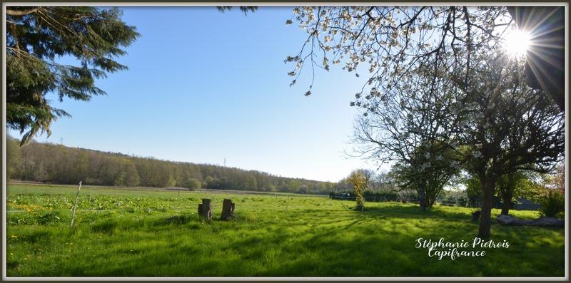 Longère - 140 m² - 5 pièces