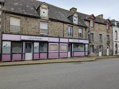 Maison - 440 m² - 8 pièces