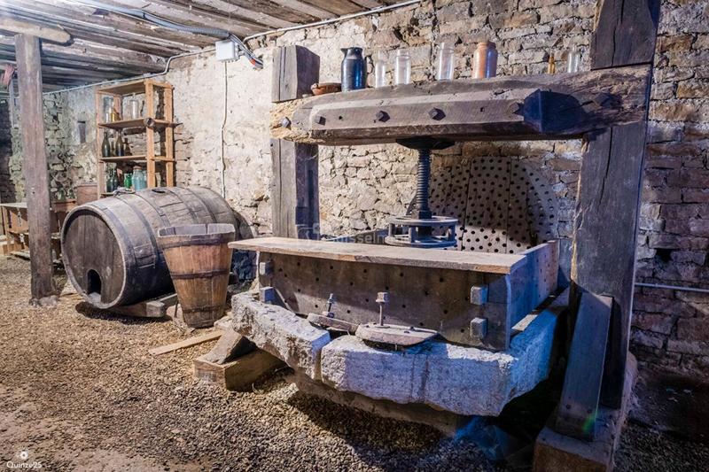 Maison en pierre - 412 m² - 12 pièces