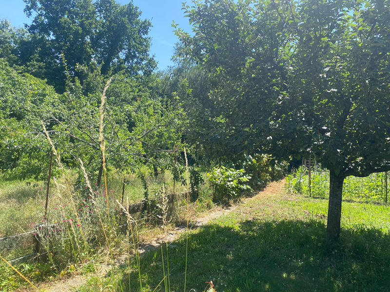 Maison - 213 m² - 7 pièces